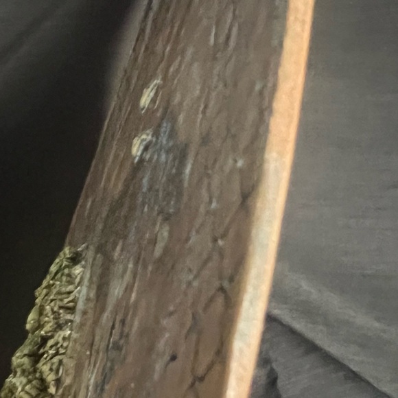 Ceramic Wall Art - Picture 7 of 8